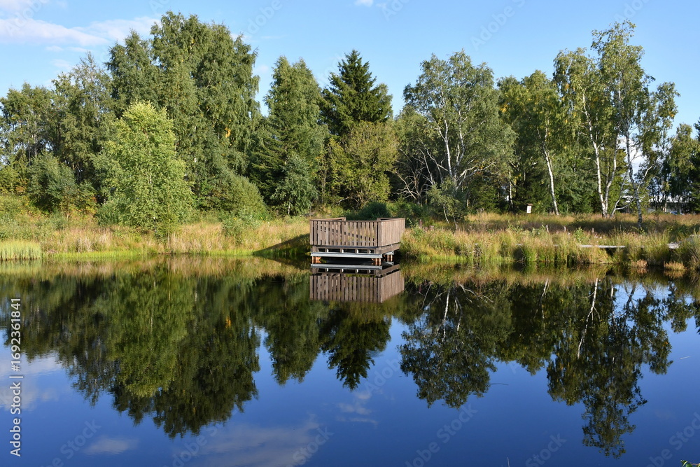Fototapeta premium Natural monument Pernink peat bog