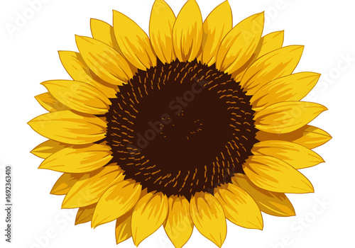 Detailed digital illustration of a single blooming sunflower with bright yellow petals and a brown seed head. An isolated vector graphic for nature and summer themes