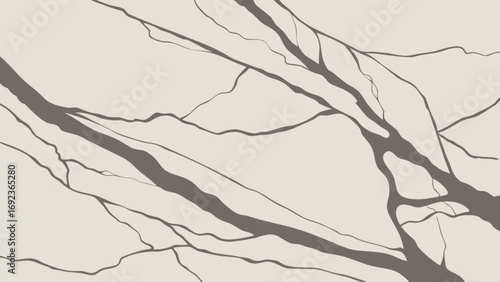 Gray veined quartz background