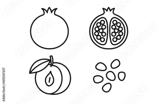 Line art of pomegranate and peach with seeds in minimalist style