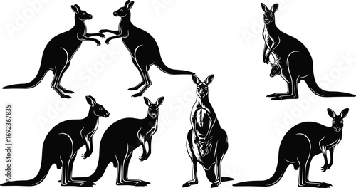 Detailed black and white vector illustration of kangaroos in different poses, including mother with joey, standing, facing, and interacting