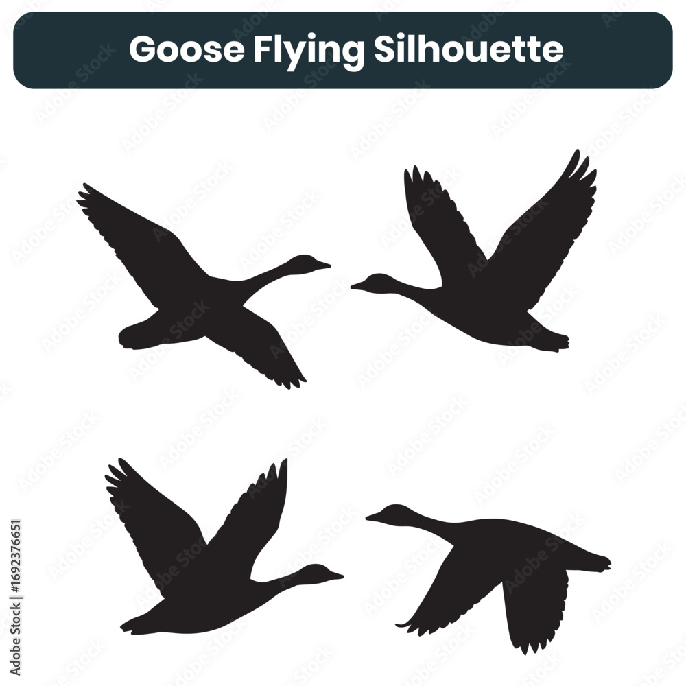 Obraz premium Goose Flying Silhouette Vector Bird Design Set