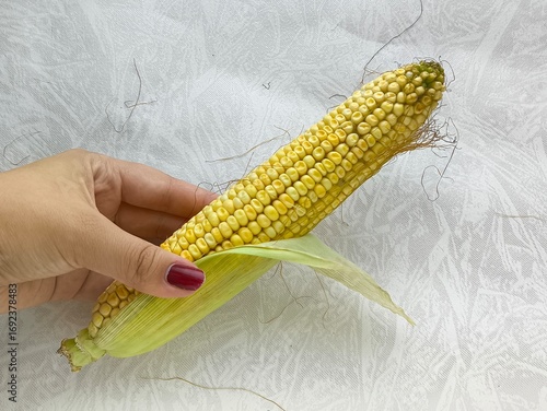 A woman takes an ear of corn from a pile and peels the corn from green leaves and husks.
