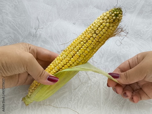 A woman takes an ear of corn from a pile and peels the corn from green leaves and husks.
