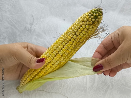 A woman takes an ear of corn from a pile and peels the corn from green leaves and husks.