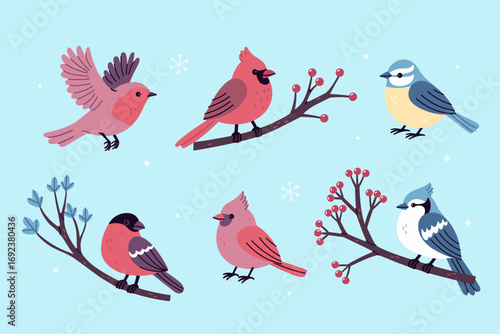 Set of cute winter birds of different species, flying and sitting. Vector graphics.