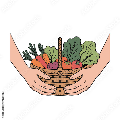 Hands holding basket full of fresh healthy vegetables harvested from organic garden white background