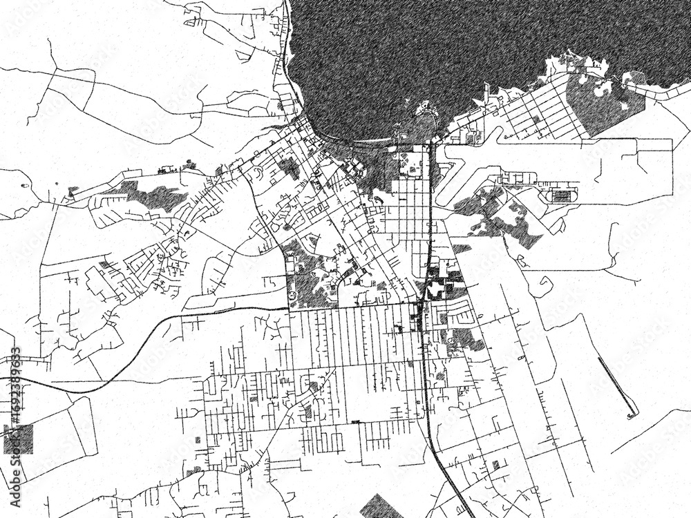 Fototapeta premium Black and white city map of Hilo, Hawaii, illustrated with fine detail and sketch textures.