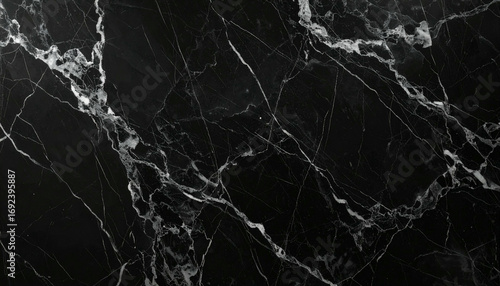 Abstract black and white marble texture background with intricate veins.