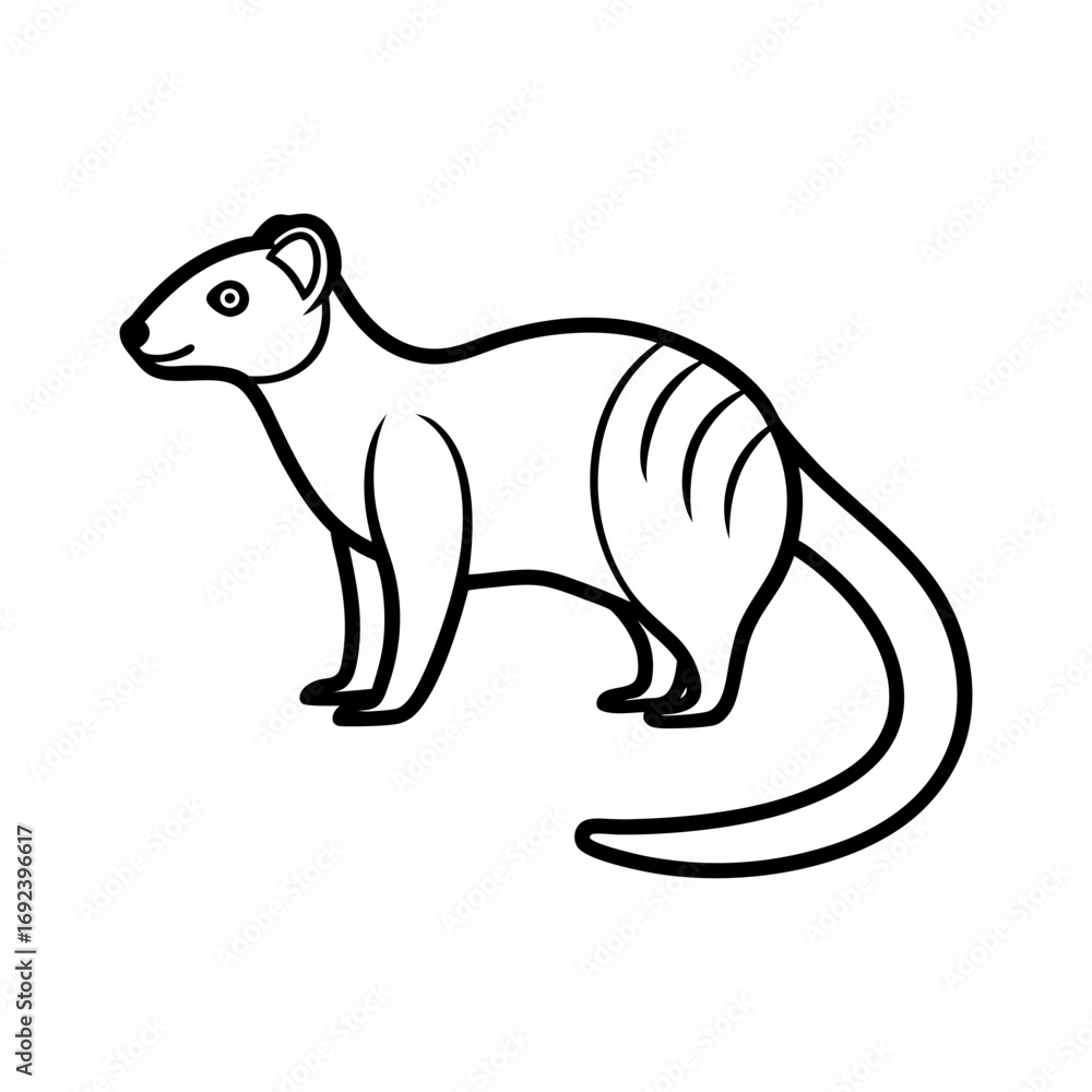 Fototapeta premium Banded Mongoose Animal Outline Illustration on White Background