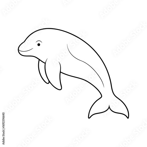 Beluga Whale Outline Illustration on White Background