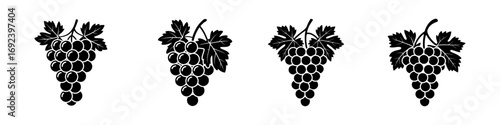  grape bunches with leaves vineyard vine plant silhouette