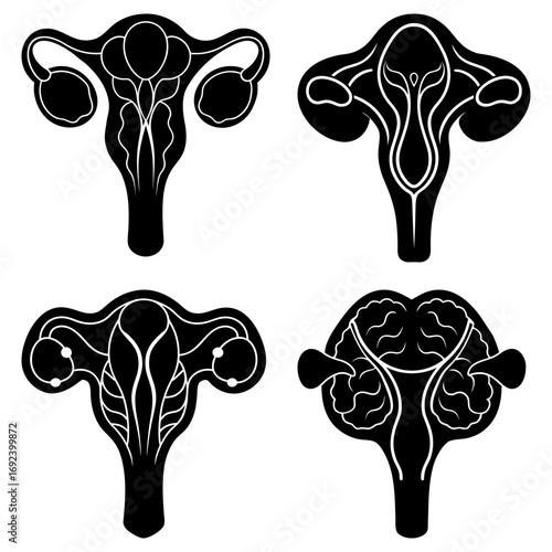 Four stylized black and white anatomical illustrations of the female reproductive system in varied designs