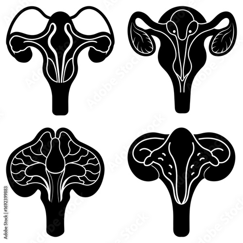 Four stylized uterus illustrations in black and white showcasing anatomical variations and artistic design