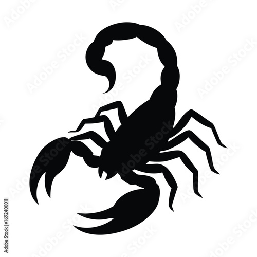 A poisonous black scorpion with a dangerous stinger and powerful claws is isolated on a white background