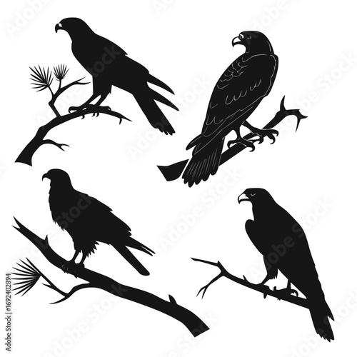 Collection of four black silhouette raptor birds perched on tree branches against a white background showcasing their sharp talons and wings