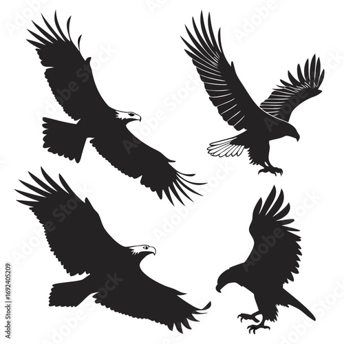 Four dynamic black silhouette illustrations of eagles in flight showcasing their powerful wingspans and predatory grace against a clean white background