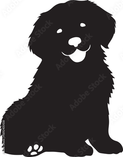 Fluff and loyalty dog silhouetted in stillness