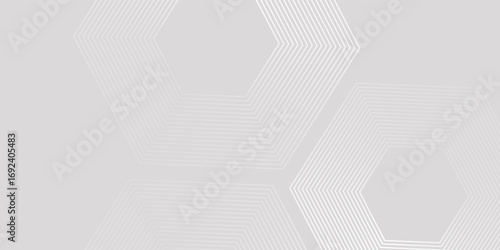 Hexagon white gray wave light technology texture background. Abstract big data digital concept simple art modern abstract