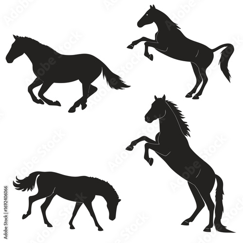 Collection of four black horse silhouettes in various dynamic poses including running rearing and grazing on a clean white background