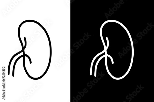 Simple line art illustration of a human kidney, presented in both black and white.