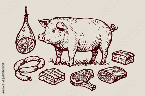 Farm pig meat cuts sausages ham sketch thick line vector illustration