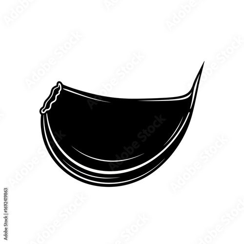 garlic vector ilustration