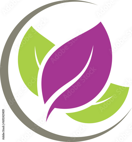 vector illustration of a leaf