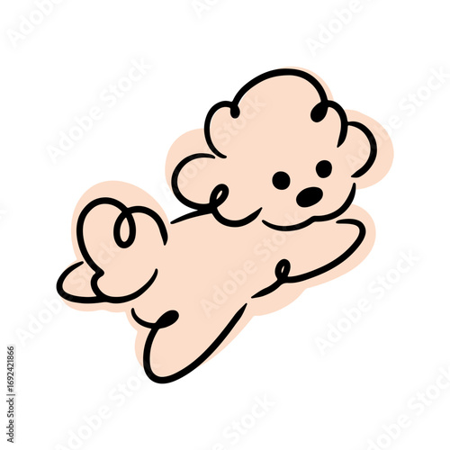 Cute doodles. Fluffy dog. Poodle, lapdog, spitz. Minimalistic illustration, children's print.