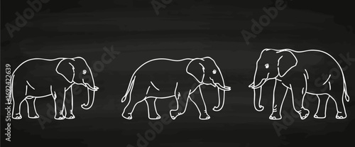 Elefant Lineart Vektorgrafik Kreidetafel Collage Tiere Handzeichnung Illustration majestätisch