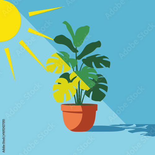Potted plant receiving sunlight against a blue background with shadows.