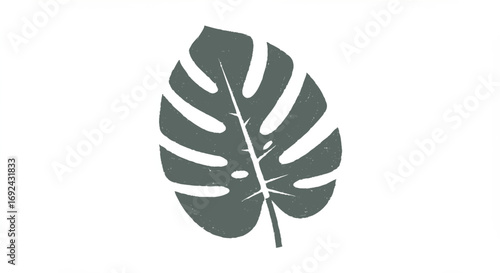 Black bird feather silhouette, a vector illustration of a quill on a white background, symbolizing nature and autumn
