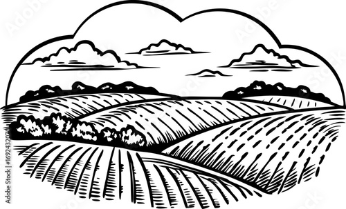 Rolling countryside farm landscape illustration with fields, trees and cloudy sky rural agriculture scene, black ink sketch