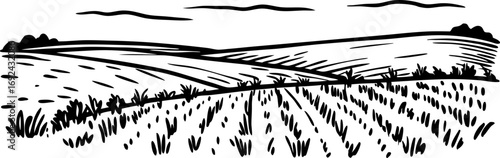Countryside field landscape illustration with farmland, grass rows, and sky hand drawn rural agriculture scene