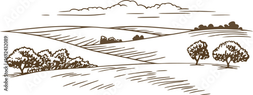 Rolling countryside landscape illustration with trees and fields under cloudy sky, rural nature scenery