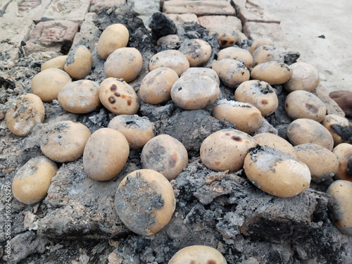 Round wheat flour balls being roasted on residual ashes of burnt cow dung cakes in traditional Indian village method, showing post-fire slow cooking technique used for preparing litti