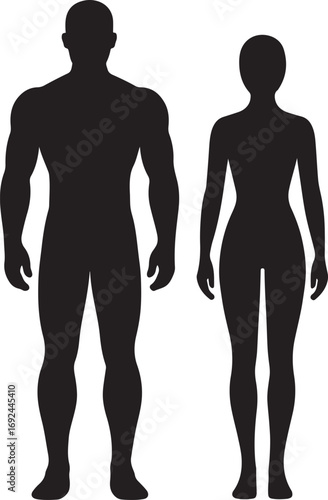 Male and Female Body Silhouettes, Human Anatomy, Gender Identity, Comparison Concept