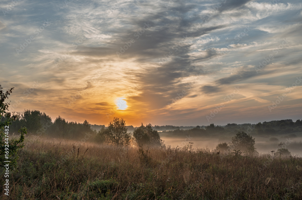 Fototapeta premium Hilly plain covered in fog, illuminated by the dawn sun.