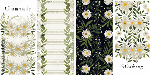Delicate chamomile flower illustrations and patterns with botanical elements and text