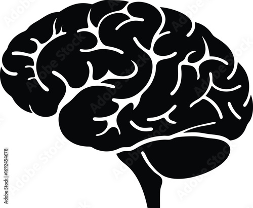Brain silhouette clear anatomical illustration with fold detail for healthcare, teaching and scientific figure use, scalable and editable vector