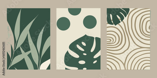 Set of three abstract botanical and organic shapes in a muted color palette