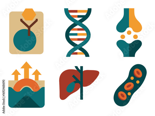 Biology flat icons set. featuring antibody, dna, synapse, mitosis, liver, mitochondria symbols.