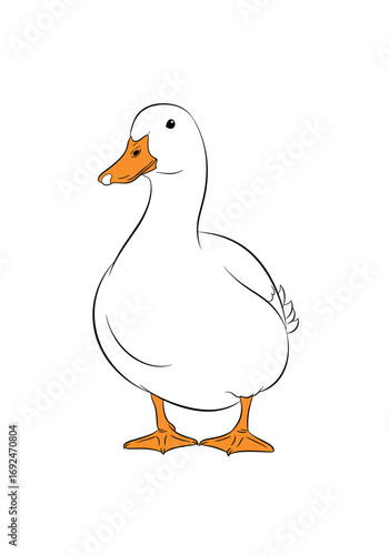 A simple illustration of a white domestic duck standing upright with orange beak and feet