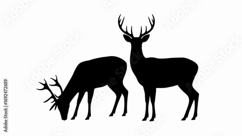 Silhouette illustration of two deer one standing and the other foraging on a white background