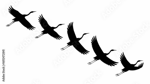 Silhouette illustration of a flock of cranes flying in formation against a white background image