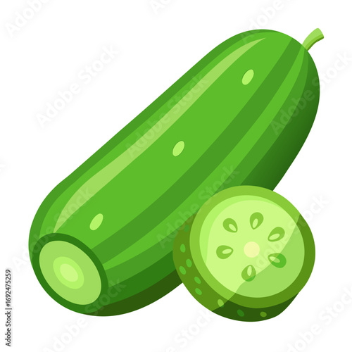 vector illustration of a cucumber