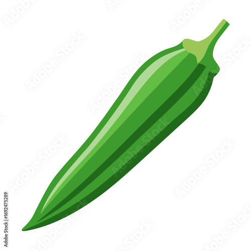 vector illustration of a chili