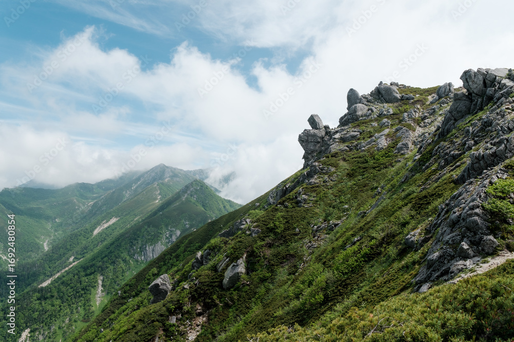 Fototapeta premium 日本の自然