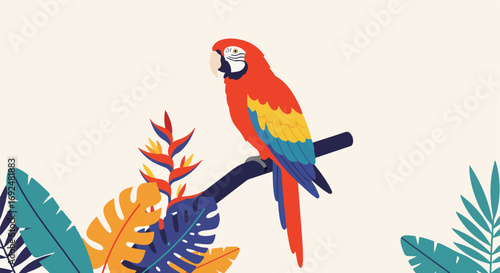 Colorful macaw