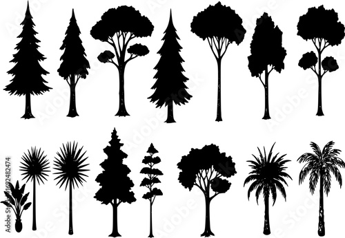 Large vector set of icons of deciduous coniferous trees palms and dracaena hand-drawn in a flat style and isolated on a white background for the design and decor of maps and park and urban info